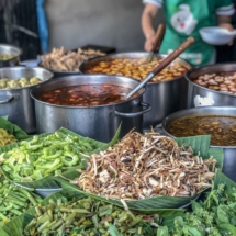 5CCC7B56-C445-4365-A633-0CEF1FF83E91