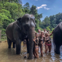 5DA12A34-6F4E-4CA2-84A1-053CC9BA477F