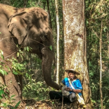 6274BE8D-E71F-4FF7-A8B8-DDC9042E3DF4