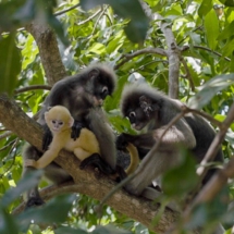 87FE8D53-92FA-40A7-B0FD-D52CA06DFE7E