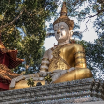 971AE014-73C4-491E-A03A-924F738A163B