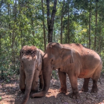 A8D4F55E-CC33-4485-9BE3-7F5C568842C4