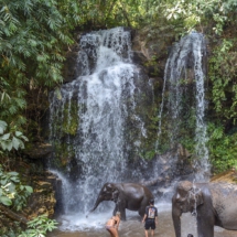 C5706F4E-AE00-4BE1-A21B-823F89DF1C08