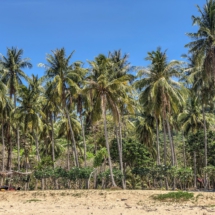 EE3F621E-4863-435B-B781-8C84FBAFE5B7