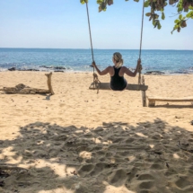 EE91336A-90B5-4966-A5D7-C236C09A78D2