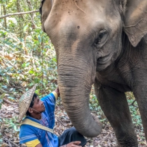 EFCE6738-3291-4289-BC50-A75692ED897C