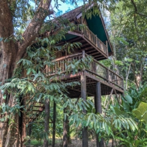 FD5E7D43-EAA0-4EC8-A661-4BCC38CEB314