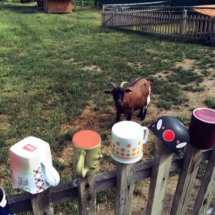 1C6297BD-C6C8-4E32-B44E-7281160B828E