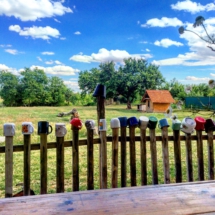 36D01B40-E568-418A-A086-73B33FF05581