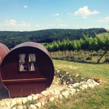 50757F6F-F7E0-4A97-AFB0-7E76CB90FB3E