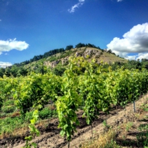 573E09C9-2DC7-49BD-A1E3-470076559430