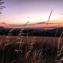 7881872D-A38E-41EB-8C1E-69A469DF3356