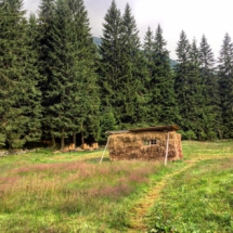 8104CA0A-50FE-4591-8C00-4B26A891396A