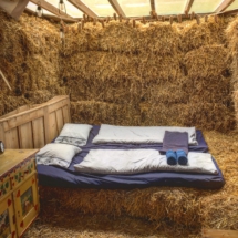 98CF9C32-220D-48A0-96A6-C9AFC4AC5243