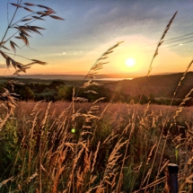 A868B60E-EEE7-4BC0-8F8B-B83FFC03277E