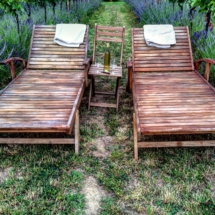 CCC48BD5-F24F-473C-934A-ACD8A142879C