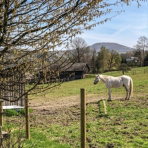 D9E27CD8-B7C4-4FC7-9E1E-A17C79F3F9A3