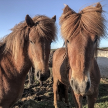 0DB8AEEE-2C4A-4AA3-B8AA-6389CF208FB3