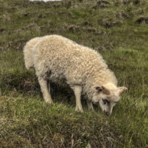 0F0E6FC7-A0CA-4A8F-BA88-6E71C1409534