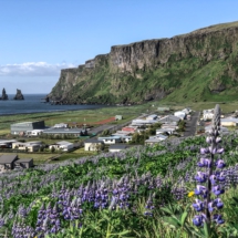 1DC53D12-5B7F-40D9-9B54-5E4E6EF81675