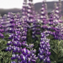 25499B09-6225-417F-869E-6CC5CFE8ED7C