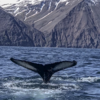 2E00EC33-9E10-4357-A91B-178A18C27A7E