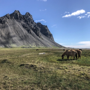 444D0DF8-C991-4B3A-A748-D9EA535893B0