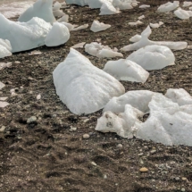 4F7FF380-BD20-4982-B60C-B4F312FD0AA1