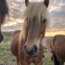 59CAB54B-9EC0-4DCA-9C30-83921BEC01A0