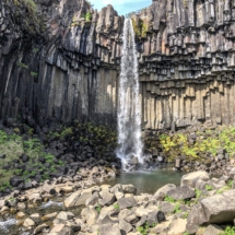 62FB2E81-D0D7-43E3-8BBB-C01F5CF117D1