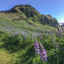 823656EB-3722-479B-BF4B-2DA8F9F83064