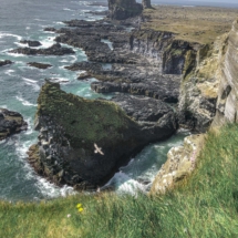 8FBEF6D3-78FD-4F8D-918C-FEB0C810E9B9