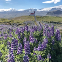 A2C8B4AE-836D-4B20-8B21-7B1C27E91168