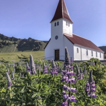 C4AF786B-55C4-4471-836A-946C2CFB9A69