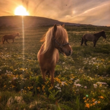 D79EB0D4-B013-4FD5-8DFA-9446D8AF3FF5