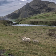 D8AF9176-EDAB-407C-8B79-12FED24BEED5