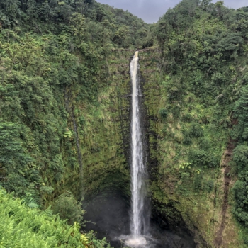 00D2070B-126E-4C89-A664-423DC97C0973