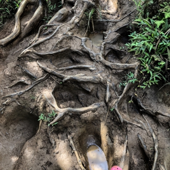 03125769-3BBB-4B5F-8428-73D728D80806