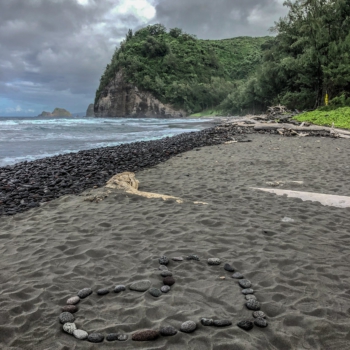 072429E6-9BB4-4F38-9EFC-E0D0B085EDD8