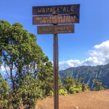 0985AB2E-FA85-4C9C-8D2B-4413E4A0600C