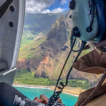 113372D7-014C-4CDA-A100-60BA244BD35C