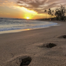 123068A0-E534-4761-B641-D1AB4721408B