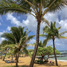 16A2C5E4-FBFF-4DB9-9F9A-2BD409EEA999