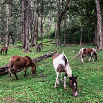 193BB4A6-C702-4EED-86FA-213FD47F61D3