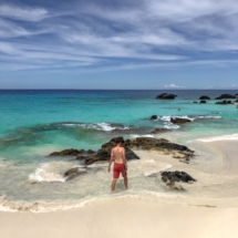 19EA69C5-BA68-4A94-A3AE-B23E126FD867