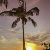 1B304E7C-DEB1-4F17-96EC-9762F769D98C