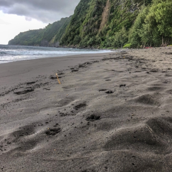 1CFDB50B-8FFD-4D5F-AC53-5904581C5713