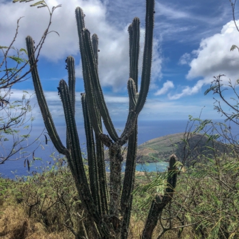 1F34C633-78C0-43F6-845C-489A269D8A8F