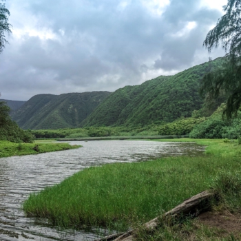 1F50D693-1F65-4B1C-B094-89A1DA7535BA