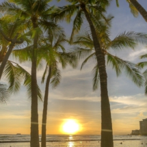 24BA2D7F-AD03-4CCF-8921-1B60CCCF1CE4